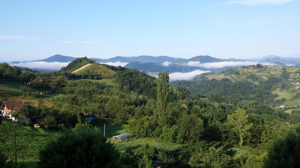 Lux Smestaj Ivanjicki Konaci Ivanjica Cameră foto